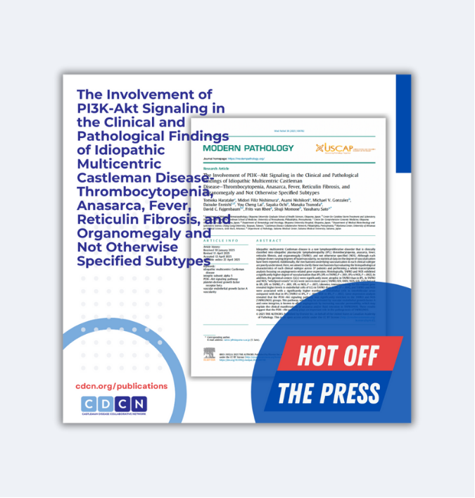 The Involvement of PI3K-Akt Signaling in the Clinical and Pathological Findings of Idiopathic Multicentric Castleman Disease-Thrombocytopenia, Anasarca, Fever, Reticulin Fibrosis, and Organomegaly and Not Otherwise Specified Subtypes