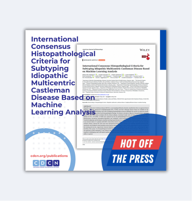 International Consensus Histopathological Criteria for Subtyping Idiopathic Multicentric Castleman Disease Based on Machine Learning Analysis